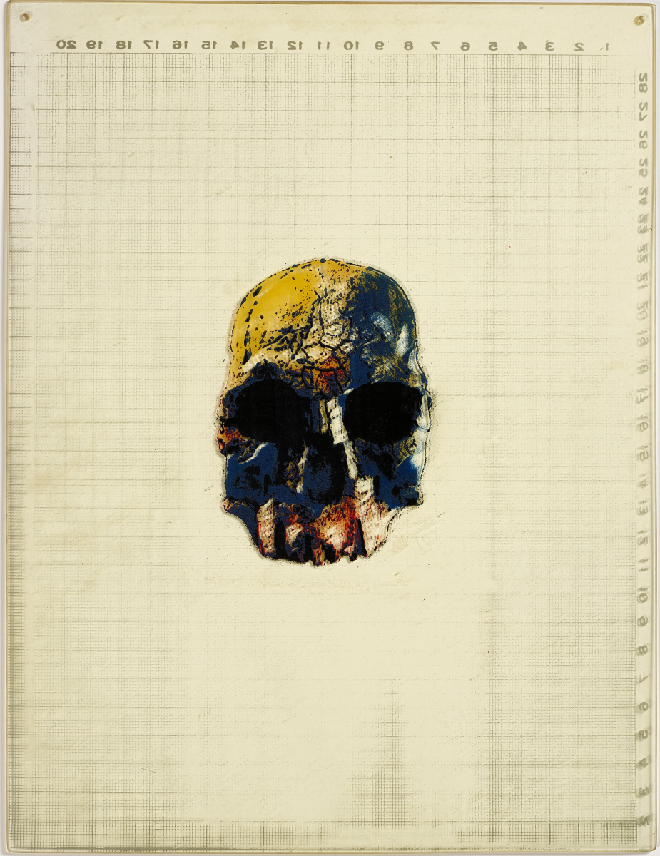 Untitled (Skull) - 75101, 1975, Serigraph on Acrylic board, 54.5x41.5cm
