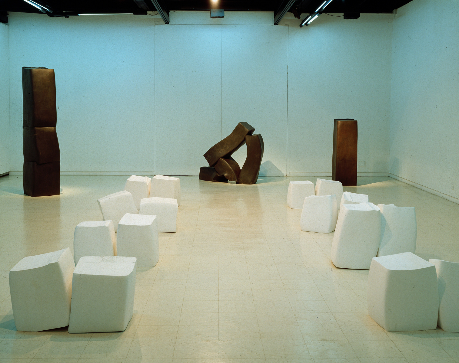 In the Wood-09050, 1995, Plaster, Dimensions Variable